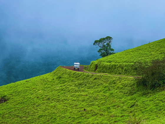 Kodachadri Trek - Weekend