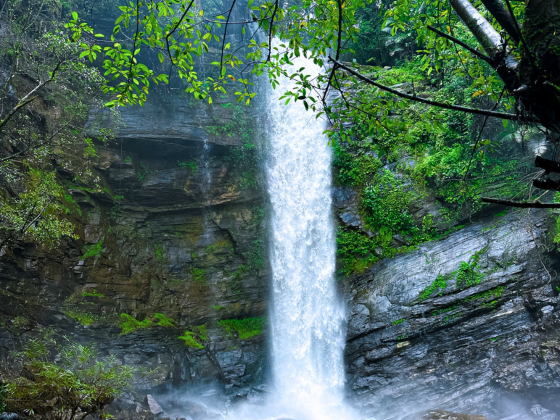 Didupe & Ermayi Falls Trek — Waterfall Escape