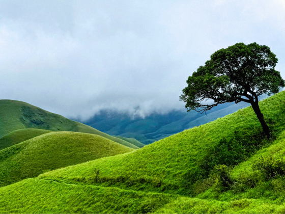 Kudremukha Trek — Weekday